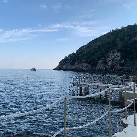 Il Pellicano