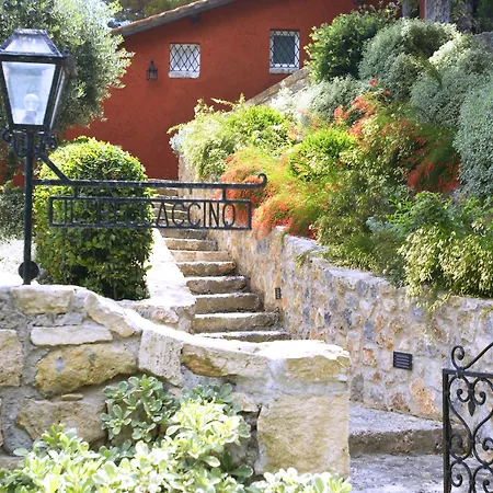 Il Pellicano